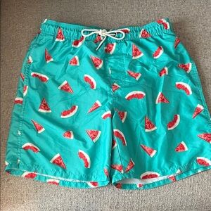 Old Navy Teal Swim Trunks with Watermelon Print